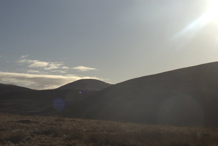 Golden Eagle, Green Woodpecker in the Borders